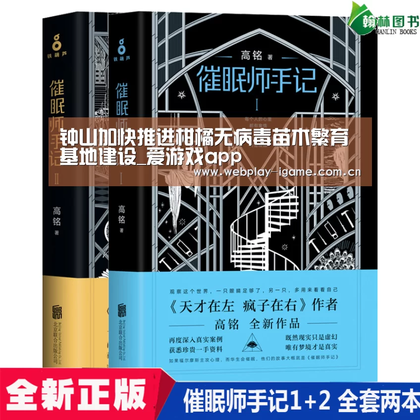 爱游戏