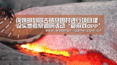 庞姚明到同古镇贫困村进行项目建设实地考察调研活动‘爱游戏app’(图2) 爱游戏app
