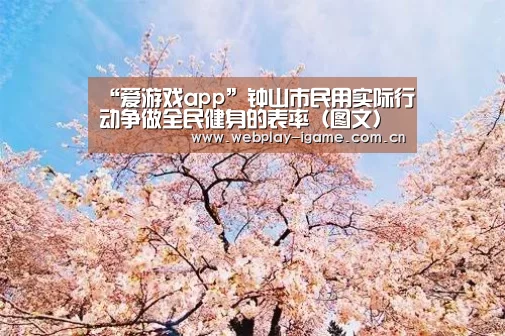 爱游戏官网