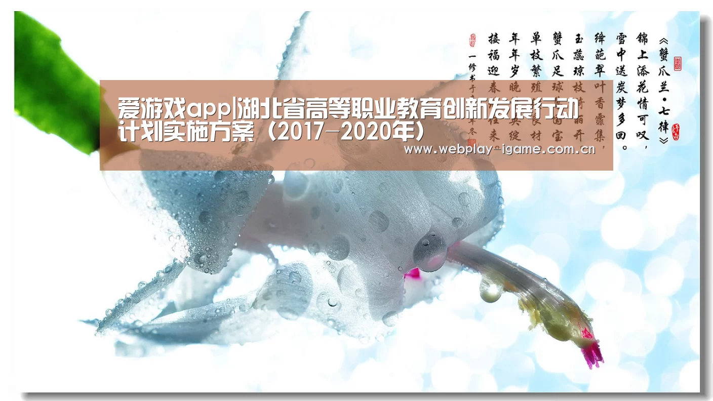 爱游戏app|湖北省高等职业教育创新发展行动计划实施方案(2017-2020年)(图1) 爱游戏app