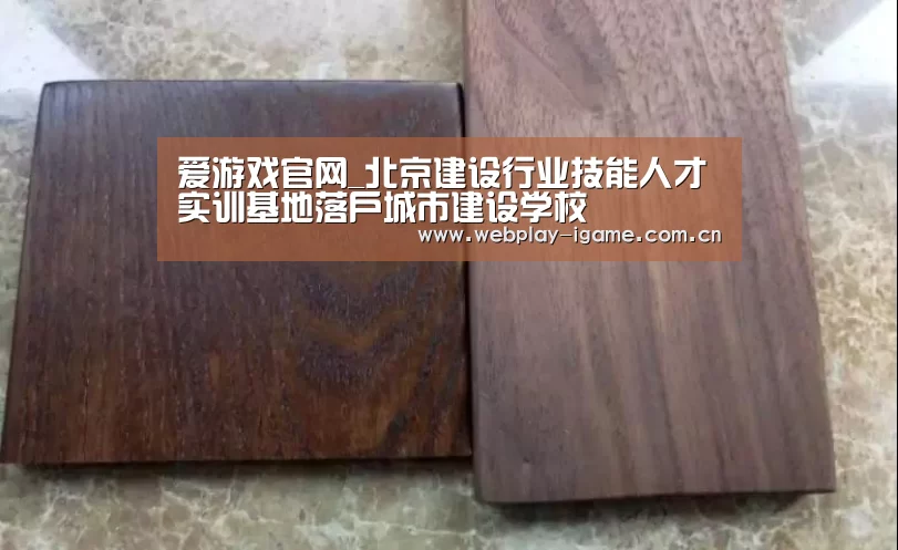 爱游戏官网_北京建设行业技能人才实训基地落户城市建设学校(图1) 爱游戏